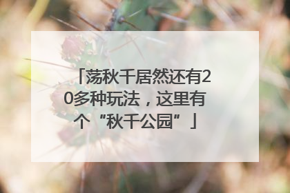 荡秋千居然还有20多种玩法，这里有个“秋千公园”