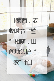 莱西：麦收时节“警”相随，田间地头护“农”忙