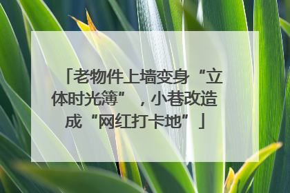 老物件上墙变身“立体时光簿”，小巷改造成“网红打卡地”