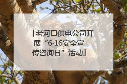 老河口供电公司开展“6·16安全宣传咨询日”活动