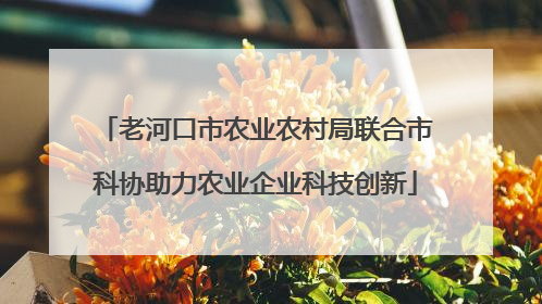 老河口市农业农村局联合市科协助力农业企业科技创新