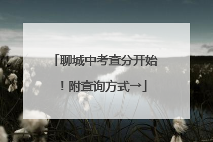 聊城中考查分开始！附查询方式→