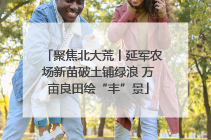 聚焦北大荒丨延军农场新苗破土铺绿浪 万亩良田绘“丰”景