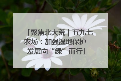 聚焦北大荒｜五九七农场：加强湿地保护 发展向“绿”而行
