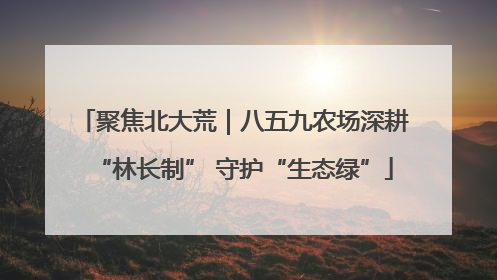 聚焦北大荒｜八五九农场深耕“林长制” 守护“生态绿”