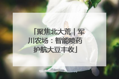 聚焦北大荒｜军川农场：智能喷药护航大豆丰收