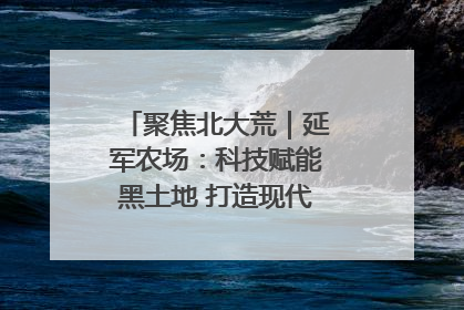 聚焦北大荒｜延军农场：科技赋能黑土地 打造现代农业“智慧芯”