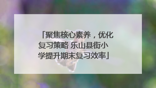 聚焦核心素养，优化复习策略 乐山县街小学提升期末复习效率