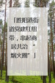 胜阳港街道党建红纽带，串起商居共治 “烟火圈”