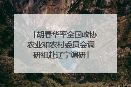胡春华率全国政协农业和农村委员会调研组赴辽宁调研