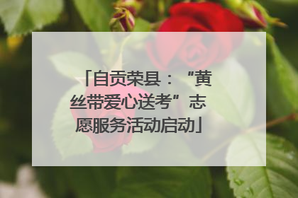 自贡荣县：“黄丝带爱心送考”志愿服务活动启动