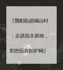 舞阳街道城山村：走进苗木基地，织密反诈防护网
