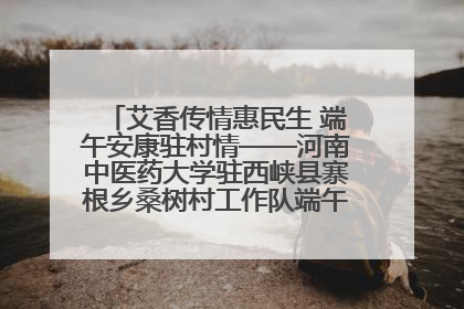 艾香传情惠民生 端午安康驻村情——河南中医药大学驻西峡县寨根乡桑树村工作队端午中医惠民记