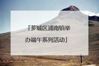 芗城区浦南镇举办端午系列活动