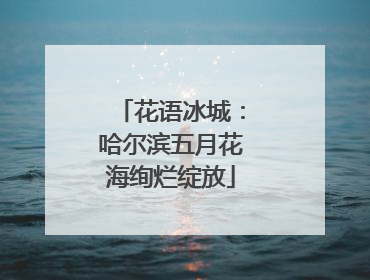 花语冰城：哈尔滨五月花海绚烂绽放