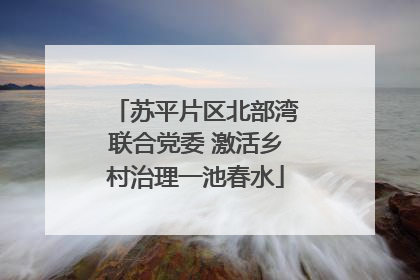 苏平片区北部湾联合党委 激活乡村治理一池春水