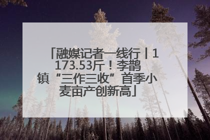 融媒记者一线行丨1173.53斤！李鹊镇“三作三收”首季小麦亩产创新高