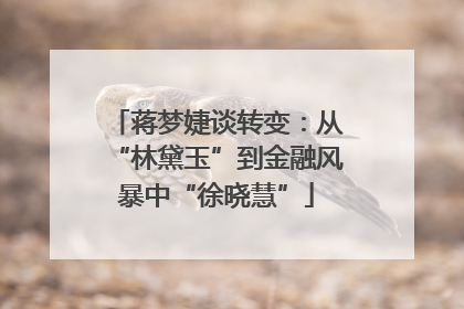 蒋梦婕谈转变：从“林黛玉”到金融风暴中“徐晓慧”