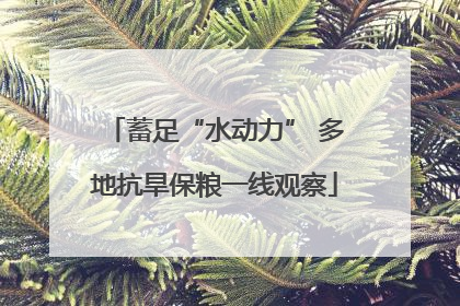 蓄足“水动力” 多地抗旱保粮一线观察