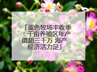 蓝色牧场丰收季：千亩养殖区年产值超三千万 海产经济活力足