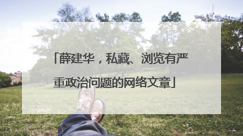 薛建华，私藏、浏览有严重政治问题的网络文章