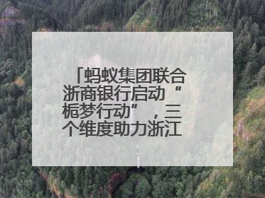 蚂蚁集团联合浙商银行启动“栀梦行动”，三个维度助力浙江下姜村建设共富示范区示范点