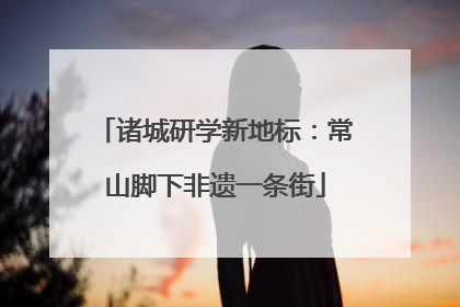 诸城研学新地标：常山脚下非遗一条街