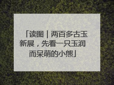 读图｜两百多古玉新展，先看一只玉润而呆萌的小熊
