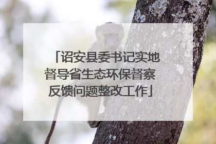 诏安县委书记实地督导省生态环保督察反馈问题整改工作