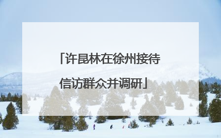 许昆林在徐州接待信访群众并调研
