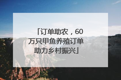 订单助农，60万只甲鱼养殖订单助力乡村振兴
