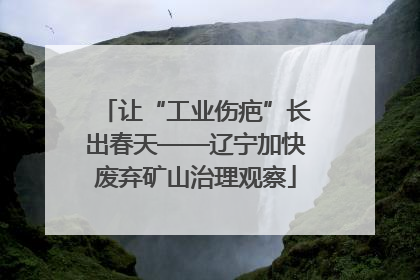 让“工业伤疤”长出春天——辽宁加快废弃矿山治理观察