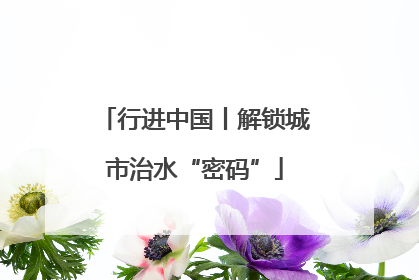 行进中国丨解锁城市治水“密码”