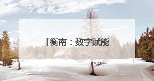 衡南：数字赋能+机制创新 打造营商环境新高地