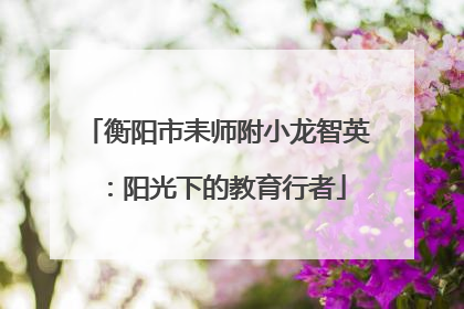 衡阳市耒师附小龙智英：阳光下的教育行者