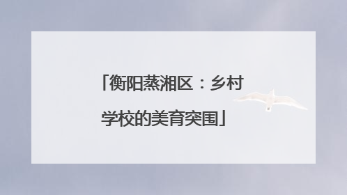 衡阳蒸湘区：乡村学校的美育突围