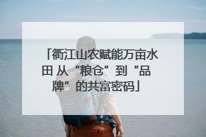 衢江山农赋能万亩水田 从“粮仓”到“品牌”的共富密码