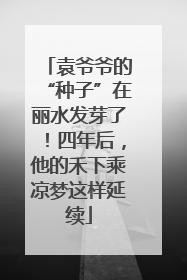 袁爷爷的“种子”在丽水发芽了！四年后，他的禾下乘凉梦这样延续
