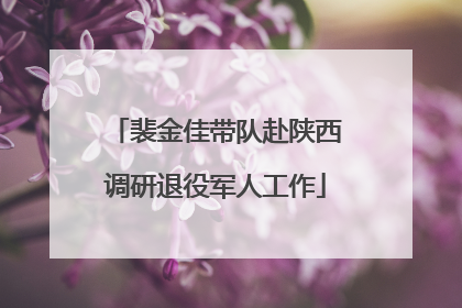 裴金佳带队赴陕西调研退役军人工作