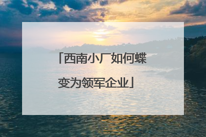 西南小厂如何蝶变为领军企业