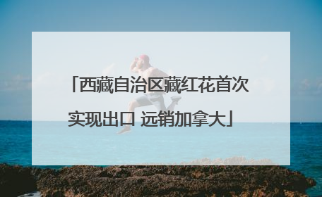 西藏自治区藏红花首次实现出口 远销加拿大