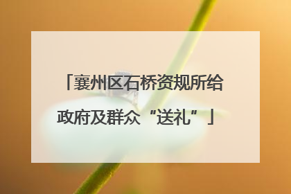 襄州区石桥资规所给政府及群众“送礼”