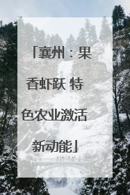 襄州：果香虾跃 特色农业激活新动能