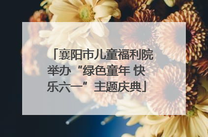 襄阳市儿童福利院举办“绿色童年 快乐六一”主题庆典