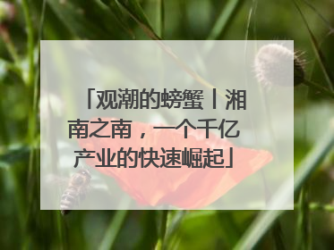 观潮的螃蟹丨湘南之南，一个千亿产业的快速崛起