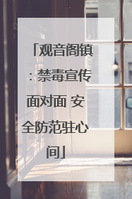 观音阁镇：禁毒宣传面对面 安全防范驻心间