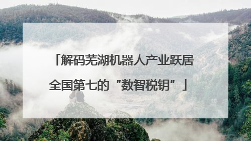 解码芜湖机器人产业跃居全国第七的“数智税钥”