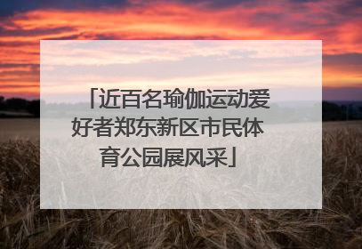 近百名瑜伽运动爱好者郑东新区市民体育公园展风采