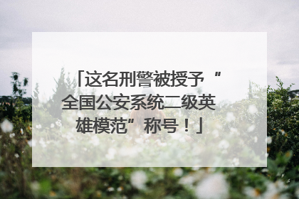 这名刑警被授予“全国公安系统二级英雄模范”称号！