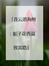 连云港海州：栀子花香溢致富路